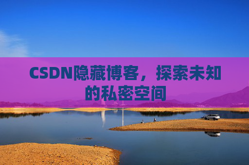 CSDN隐藏博客，探索未知的私密空间